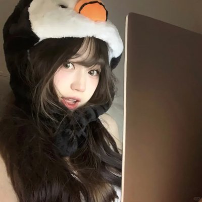 鸽 封面